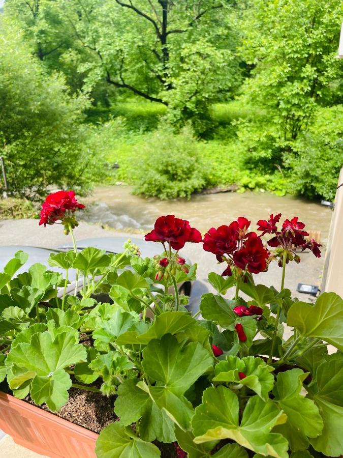 Guest House Mikaela Габрово Екстериор снимка